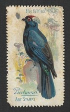 T330 Piedmont Tobacco Stamp - Art Stamps Bird Series - Blue BullFinch