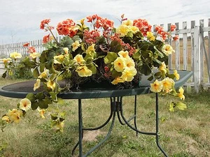 18" Base for a 24" Window Box Orange Geraniums Yellow Azaleas Cottage - Picture 1 of 1