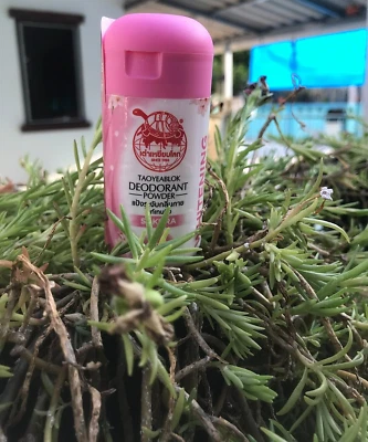 22 g. Desodorante en polvo blanqueador Sakura cuidado fragante limpio cuerpo seco no pegajoso Foto 1 de 4