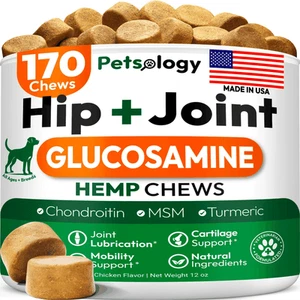 Hemp Hip and Joint Supplement for Dogs Glucosamine for Dogs 170 Mobility - Picture 1 of 8