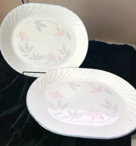 Juego de 2 platos ovalados Corelle Corning rosa trío azul remolino floral - Imagen 1 de 6
