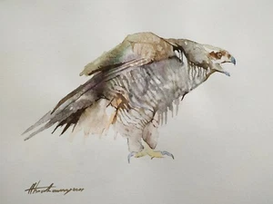 Hawk, Birds, Watercolor artwork, Handmade, Original painting on paper - Picture 1 of 1