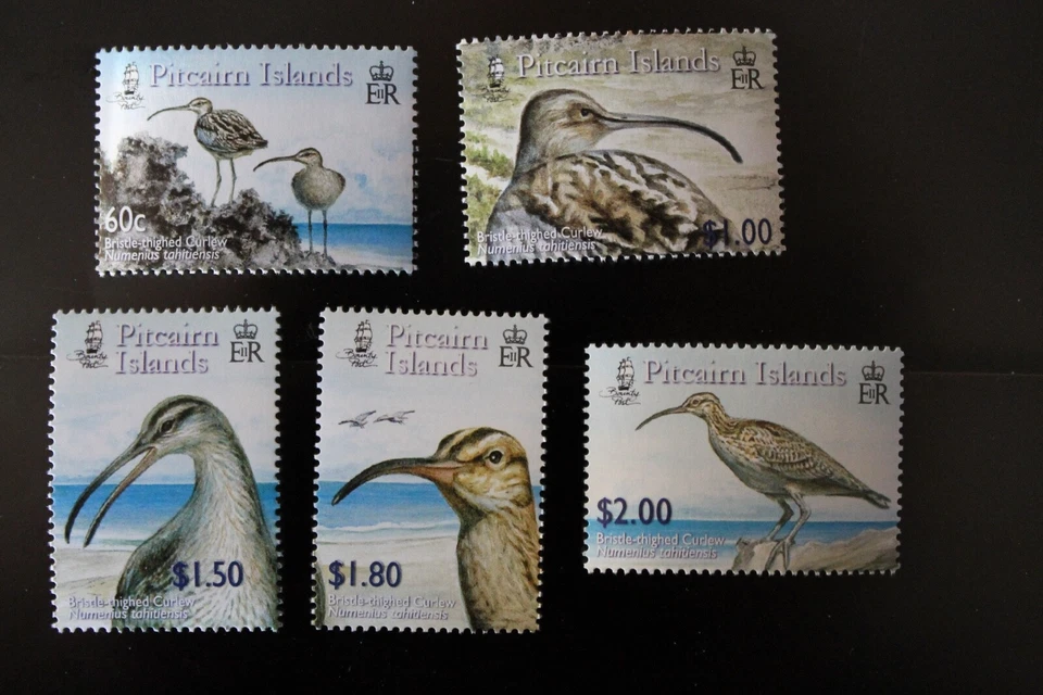 Pitcairn Island Stamps #622-626 Curlew Birds - Image 1 of 1