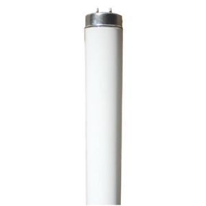 Halco F40DX/ECO 40W 4 ft. 6500K T12 Linear Fluorescent Tube 35202 30-Pack 25018