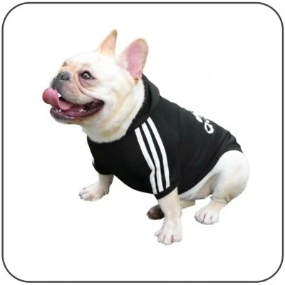 Sudaderas con capucha Adidog para perro pequeñas a 9XL Foto 1 de 4