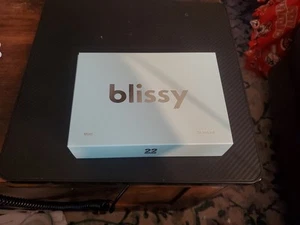 NIB - Blissy 100% Mulberry Silk Pillowcase - STANDARD / 20 x 26 - MINT - Picture 1 of 4
