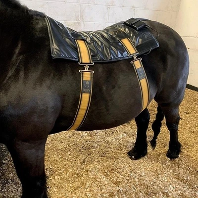 Epiony Heat Pad Plus - Image 1 of 4