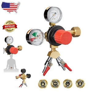 Polycarbonate CO2 Regulator with Dual Tap & Safety Valve - 2000lb Output - Picture 1 of 6