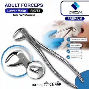 Dental Lower Molar Pliers Extraction Instruments Tooth Extracting Forceps Fig.73 - Picture 1 of 15