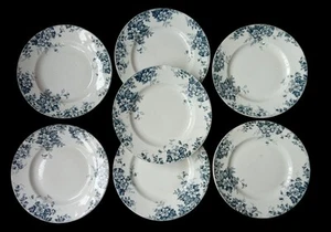 7 Anciennes Assiettes Saint Amand Hamage Terre De Fer Modèle Marie Louise - Bild 1 von 9