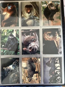 1993 Cardz The World Famous San Diego Zoo #1-110 Complete Base Set Trading Cards - Picture 1 of 10