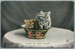 CATS in CHINA BOWL ANTIQUE POSTCARD - Picture 1 of 2