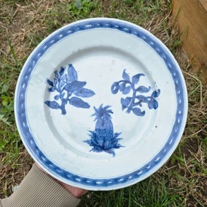Chinese Antique Porcelain Blue & White Dish Botanical Pineapple Pierre Pomet - Picture 1 of 10