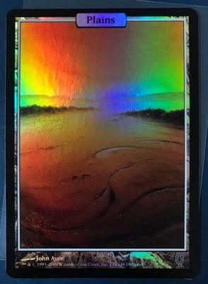 Plains MTG Unhinged Foil Karte Magic The Gathering - Bild 1 von 4