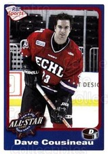 2003-04 RBI #266 David Cousineau
