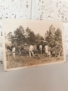 Vintage Photograph Sepia Cutting And Hauling Wood JNO R Collins Ranch - Picture 1 of 6