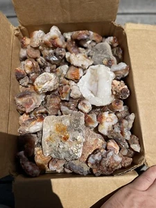 13 pieces Mixed Arizona/California Rough Fire Agates(13pcs) - Picture 1 of 2