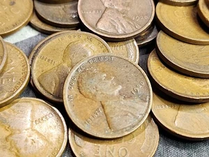 1 roll of 1920 wheat pennies 50 Coins R18 - Picture 1 of 4