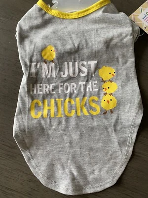 Camiseta de Pascua "I'M JUST HERE FOR THE CHICKS" Gris Amarillo Borde Cachorro/Perro MED NUEVA CON ETIQUETAS Foto 1 de 2