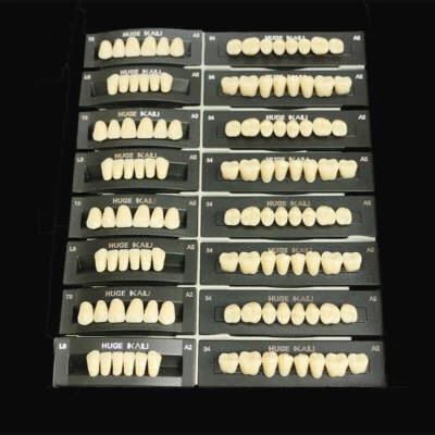 4 Set Dental Synthetic Polymer Resin False Teeth Denture T8,T6,T4,T2,A2 A3 shade