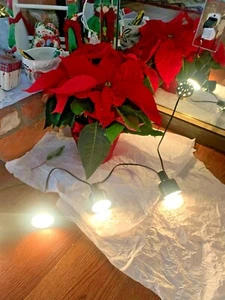 Lighting Kit 10 Lights For Kitchen Ceiling - Picture 1 of 5