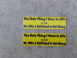 Wife And Girlfriend Biker Set 2 Pcs.Aufkleber Decals Stickers USA Helmaufkleber - Picture 1 of 1