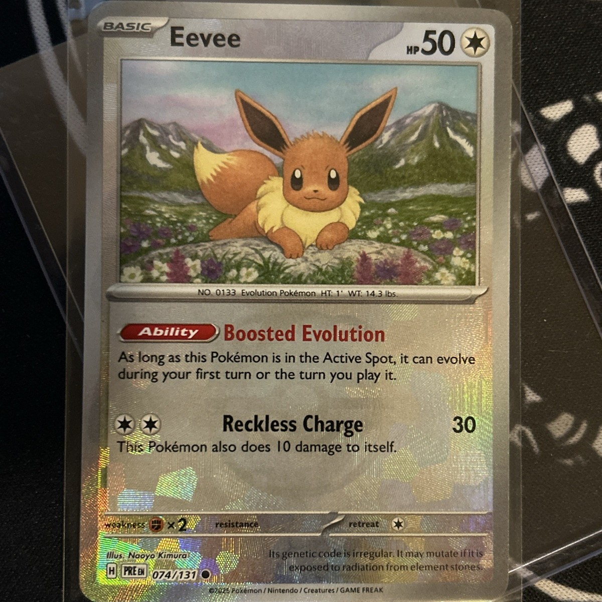 Pokémon Pokémon TCG Evolutions Colorless Individual Pokémon Pokémon TCG Evolutions Colorless Individual
