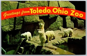 Postal saludos desde Toledo Ohio Zoo Polar Bears OH - Imagen 1 de 2
