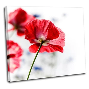 Rote Blume Blumen Leinwand Wandkunst Druck Bild 29 PREMIUM QUALITÄT v - Bild 1 von 21