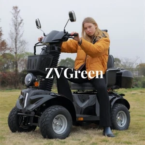 1000W 4-Wheel Travel Mobility Scooter 60V 20AH Battery Motor fit Adult Senior - Picture 1 of 16