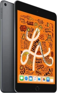Apple iPad Mini 5 | Wifi / Wifi + Cellular | 64GB / 256GB | Space Grey Good Cond - Picture 1 of 5