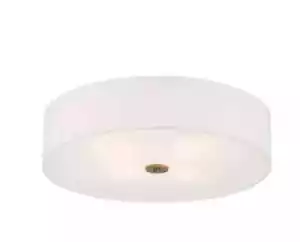 Access Lighting 24 in. LED Flush Mount Dimmable and casts ambient overhead light - Picture 1 of 5