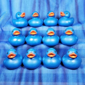 One Dozen 12 Floating Blue Rubber Ducks Duck New - Picture 1 of 4