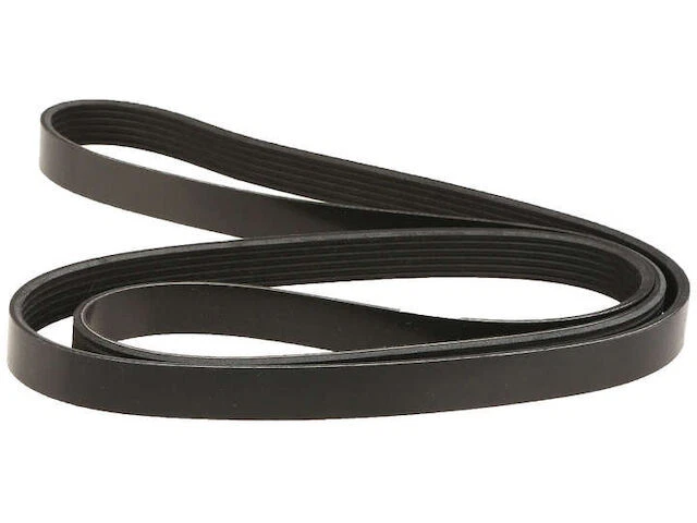 Cinturón Dayco Multi Rib para Buick Century 1999-2005 25JBWM Foto 1 de 1