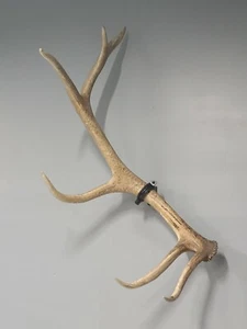 Elk Shed Mounting Clamp (Black) - Picture 1 of 6