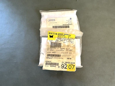 Kits de pinos de dobradiça de porta GM OEM NOS 89025546 2x 1996-2014 Chevrolet Express 1500 - Imagem 1 de 4