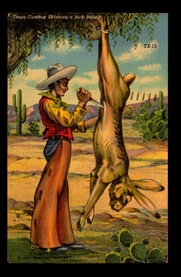 1954 Colorful Texas Cowboy & Rabit Post Card / Temple TX - L8838 - Image 1 of 2