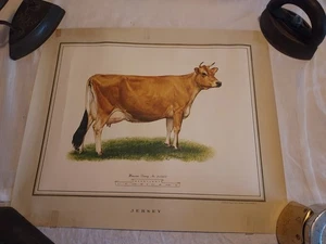 Eugene Hoy Winsome Pinny Jersey Ralston Purina Print - Bild 1 von 23