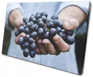 Mani dell'uva vino hobby SINGOLA TELA ARTE DA PARETE quadro stampa - Foto 1 di 1
