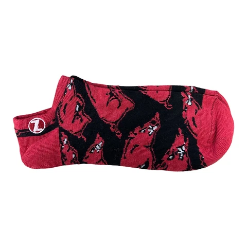 NCAA Arkansas Razorbacks Ankle Socks Cover