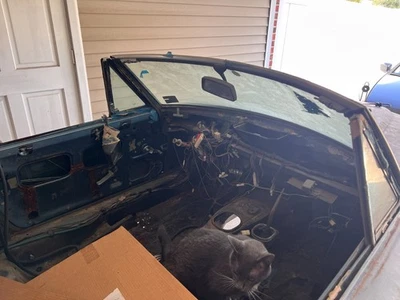 Fiat 124 Spider 1979  Foto 1 de 4