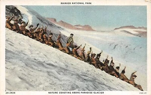 J25/ Rainier National Park Washington Postcard c10 Glisading Nature Coasting  22 - Picture 1 of 4