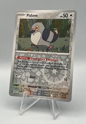 133/162 Pidove - SV05 Temporal Forces - Reverse Holo NM Pokemon - Image 1 of 2