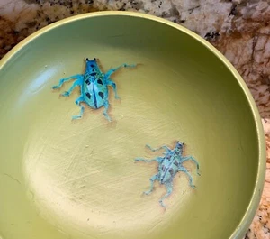 Beetle BOWL, PG Warren Hand-painted bugs, lime painted wood, COLLECTIBLE! - Picture 1 of 12