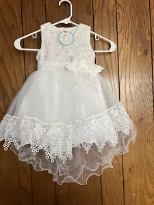 LITTLE GIRLS FLOWER Girls Dress 18 Months ADORABLE - Picture 1 of 3