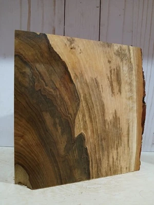 XL Wicked CURLY HARDWOOD AMBROSIA maple Burl wood Blank, TURNING WOOD, Pen Stock - Image 1 of 4