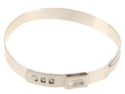 Abrazadera de tubo intercooler genuina 34319CC para BMW M850i xDrive Gran Coupé 2020-2022 Foto 1 de 2