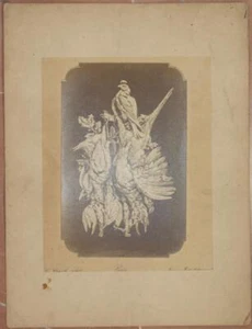 LOUIS THEOPHILE HINGRE LE GIBIER A PLUME FOTOGRAFIA SCULTURA G. GRAVET ALBUMINA - Imagen 1 de 1