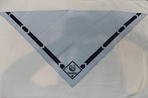 BOY CUB SCOUT NECKERCHIEF - BEAR - BSA - Picture 1 of 2