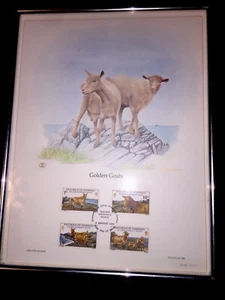 GOATS Stamp 1st Day LITHO Print Frame LTD Ed England GUERNSEY TENNEY Man Cave - Picture 1 of 9